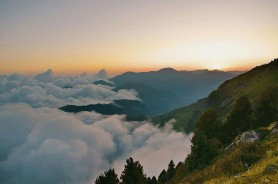 关于蘑菇视频ios的加载速度，我只说三句